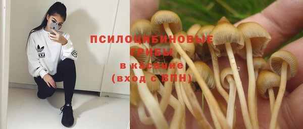 винт Балахна