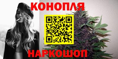 твердый Будённовск