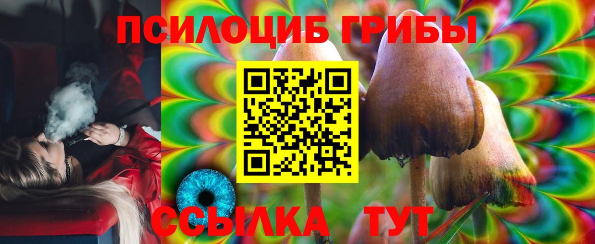 Псилоцибиновые грибы мицелий Воркута