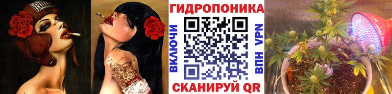 Канабис сатива  Воркута 